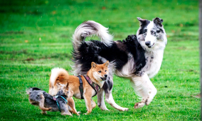 Was ist vor Anschaffung zu beachten?