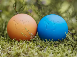 Hundeschule – ein Muss für jeden Hund?