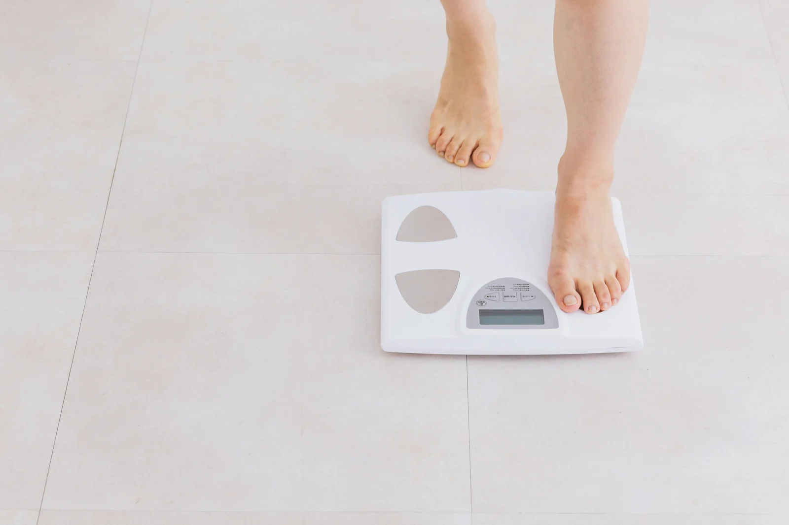 Das Idealgewicht Deines Hundes