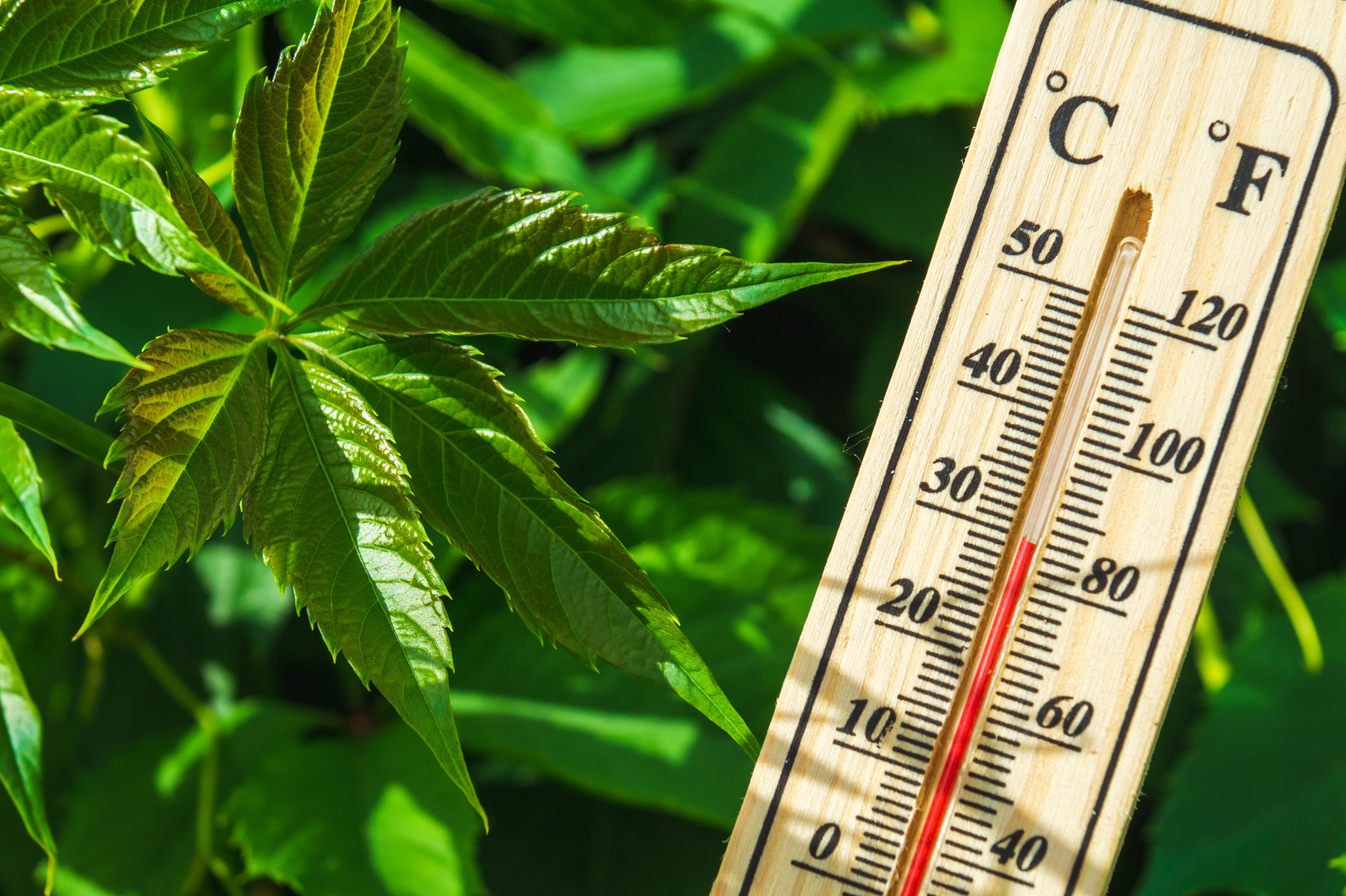 Vorsicht an warmen Tagen