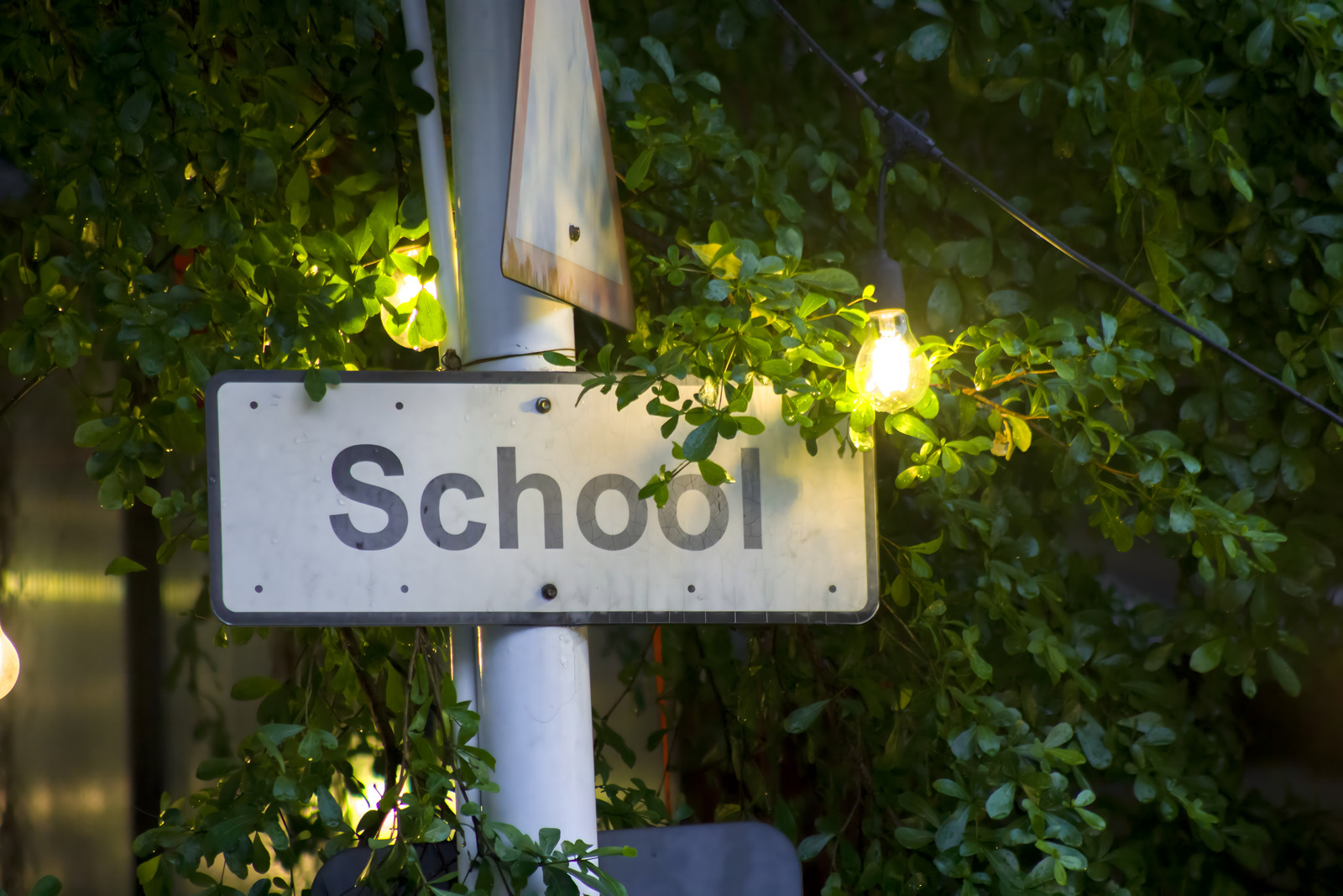 Wie finde ich die richtige Hundeschule?