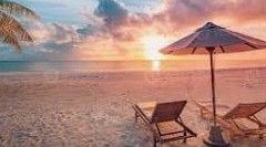 Urlaub mit Hund 2026