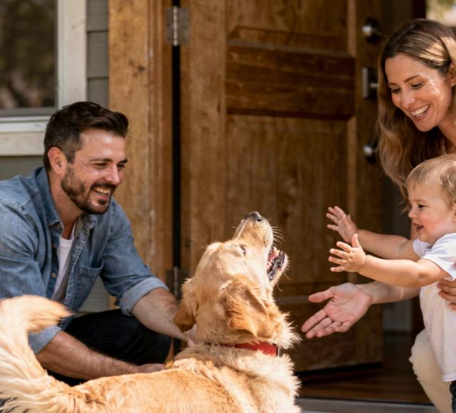 Die ultimative Checkliste für die ersten Wochen mit deinem neuen Hund