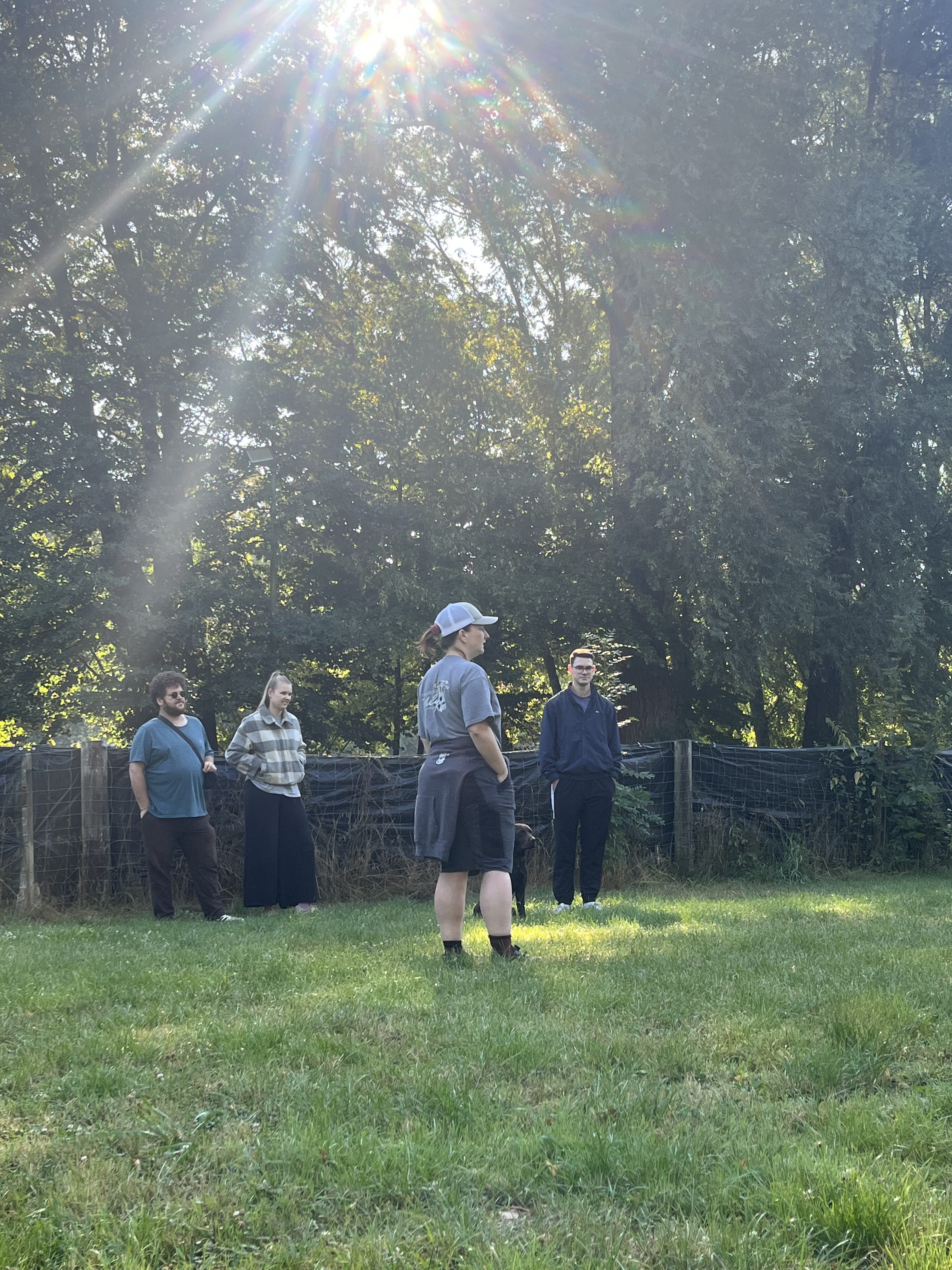 Maßgeschneidertes Hundetraining in Münster: