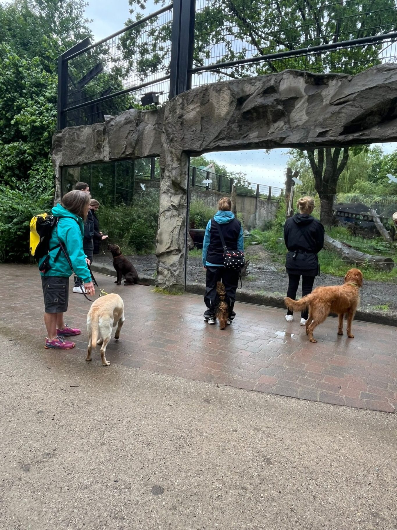 Zootraining