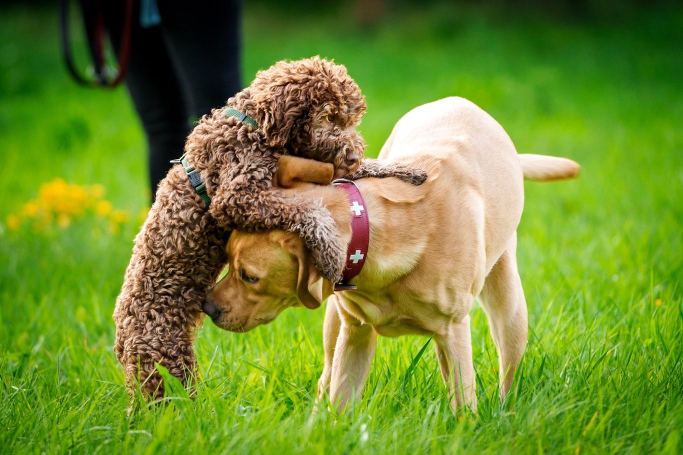 Spielen nach der Gruppenstunde