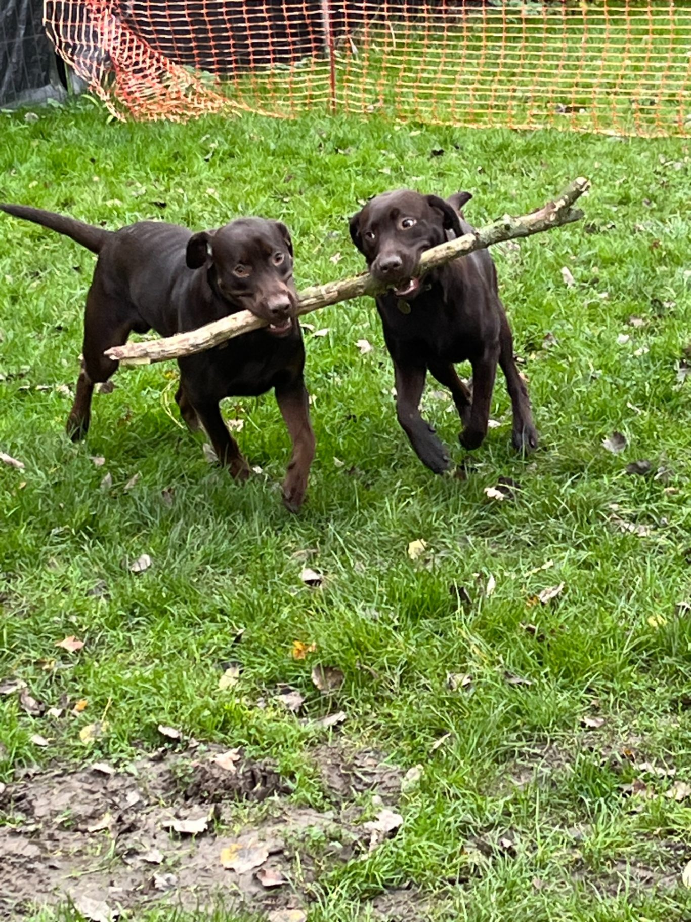 Spielzeit in Hiltrup