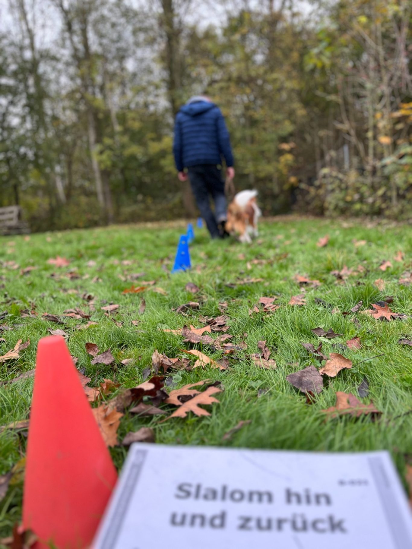 Aufgabentraining Hiltrup