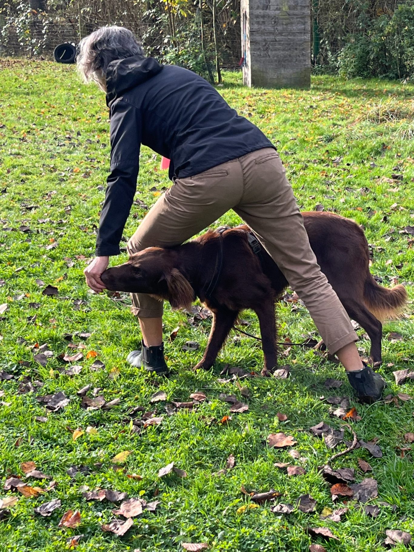 Aufgabentraining Hiltrup