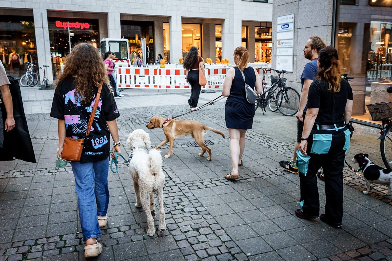 Leinenführigkeitskurs