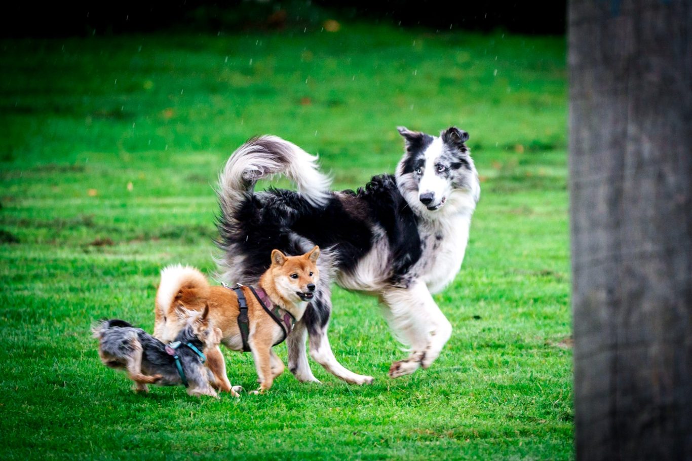 Spielen nach Gruppenstunde