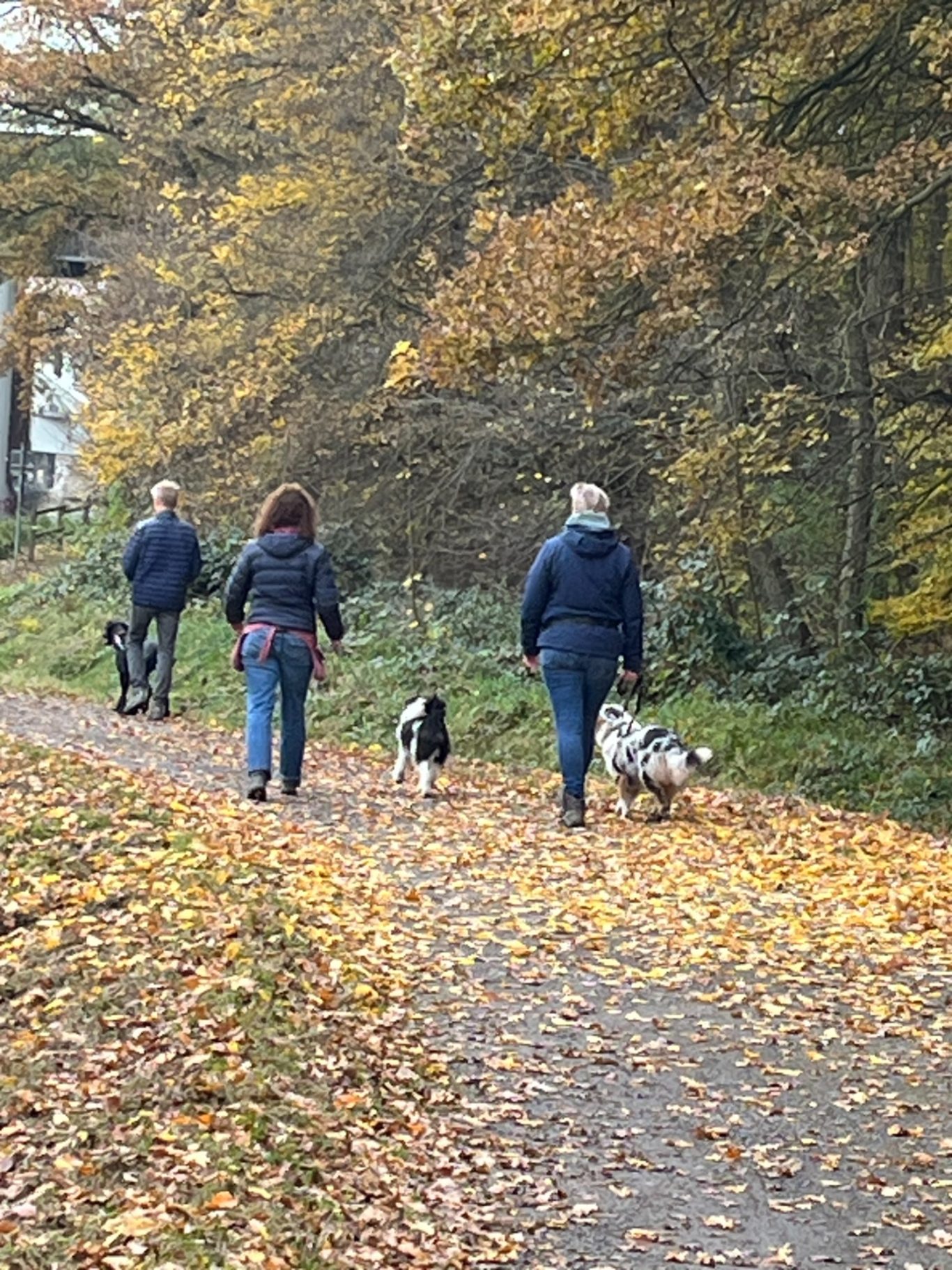 freies Training am Kanal in Hiltrup