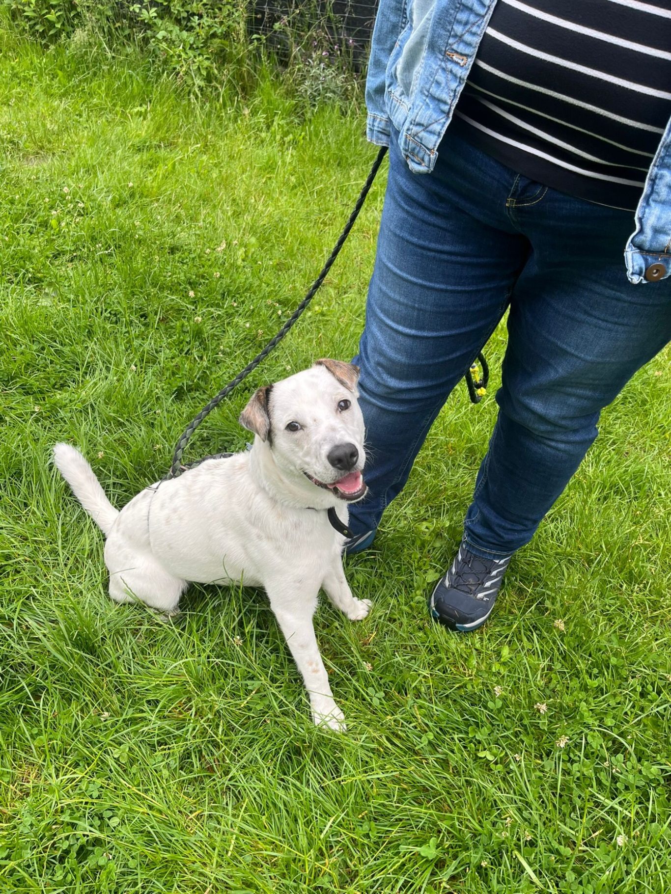 Hundeplatz in Hiltrup