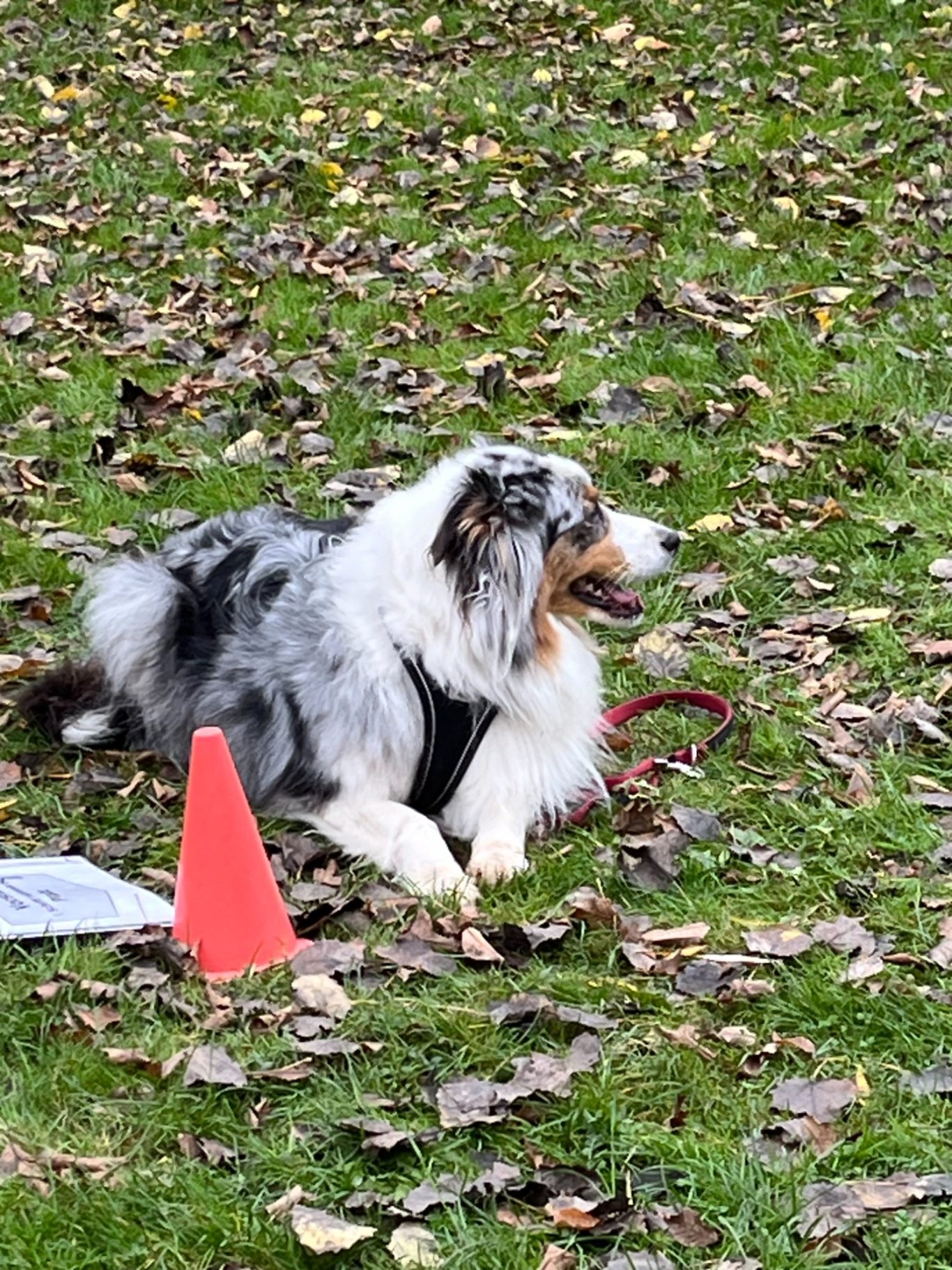 Aufgabentraining Hiltrup