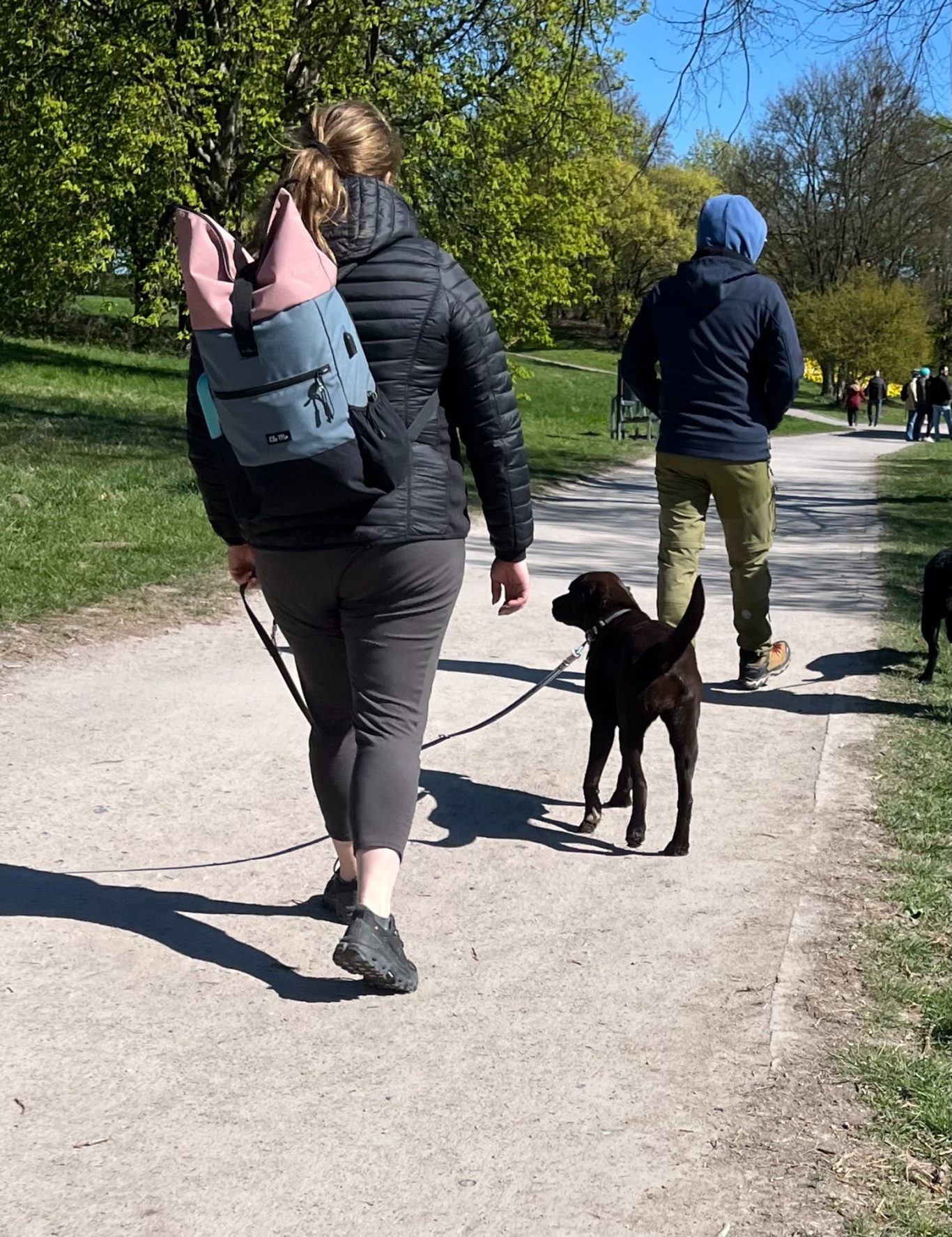 Leinenführigkeitskurs