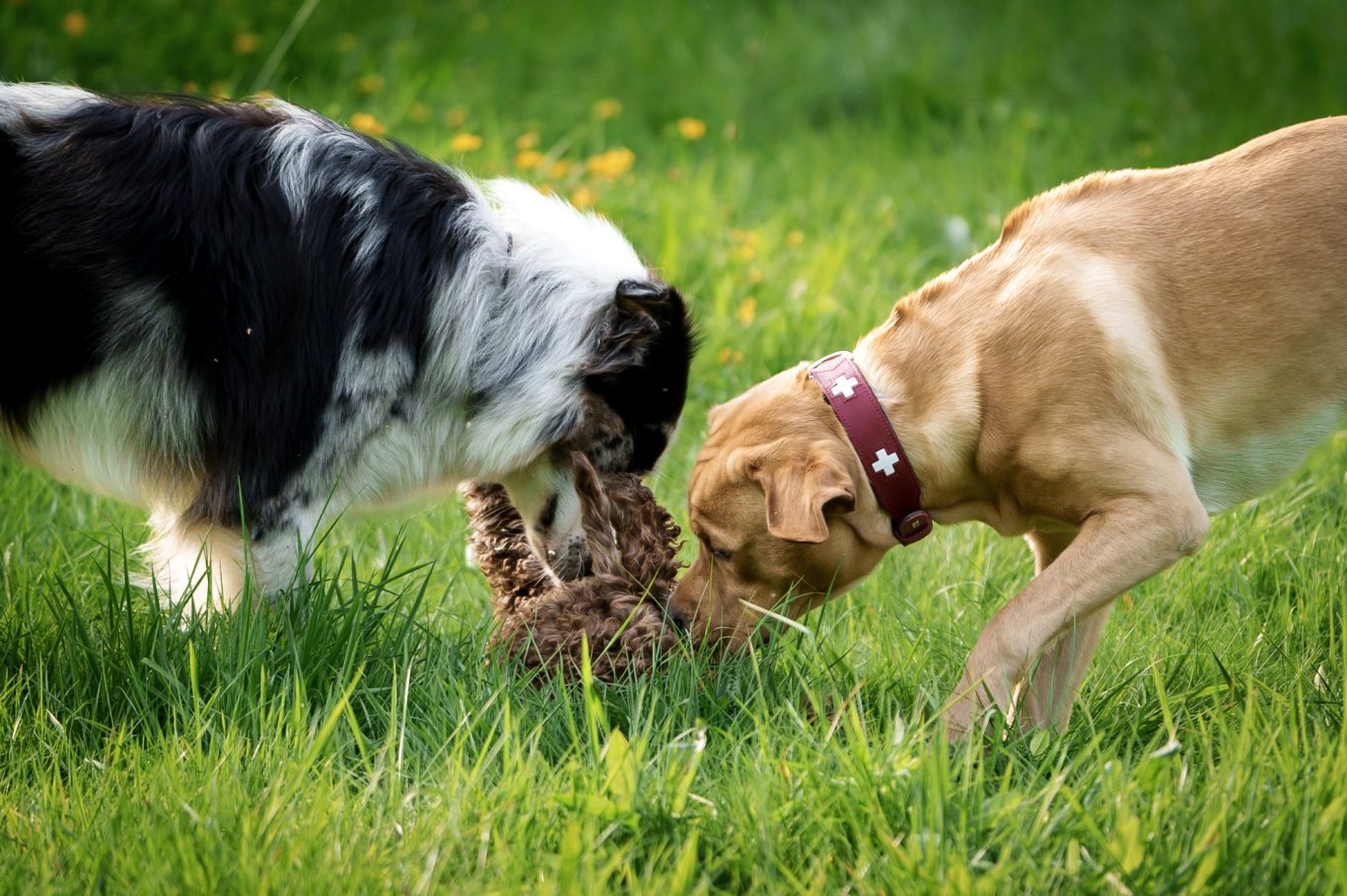 Spielen nach der Gruppenstunde