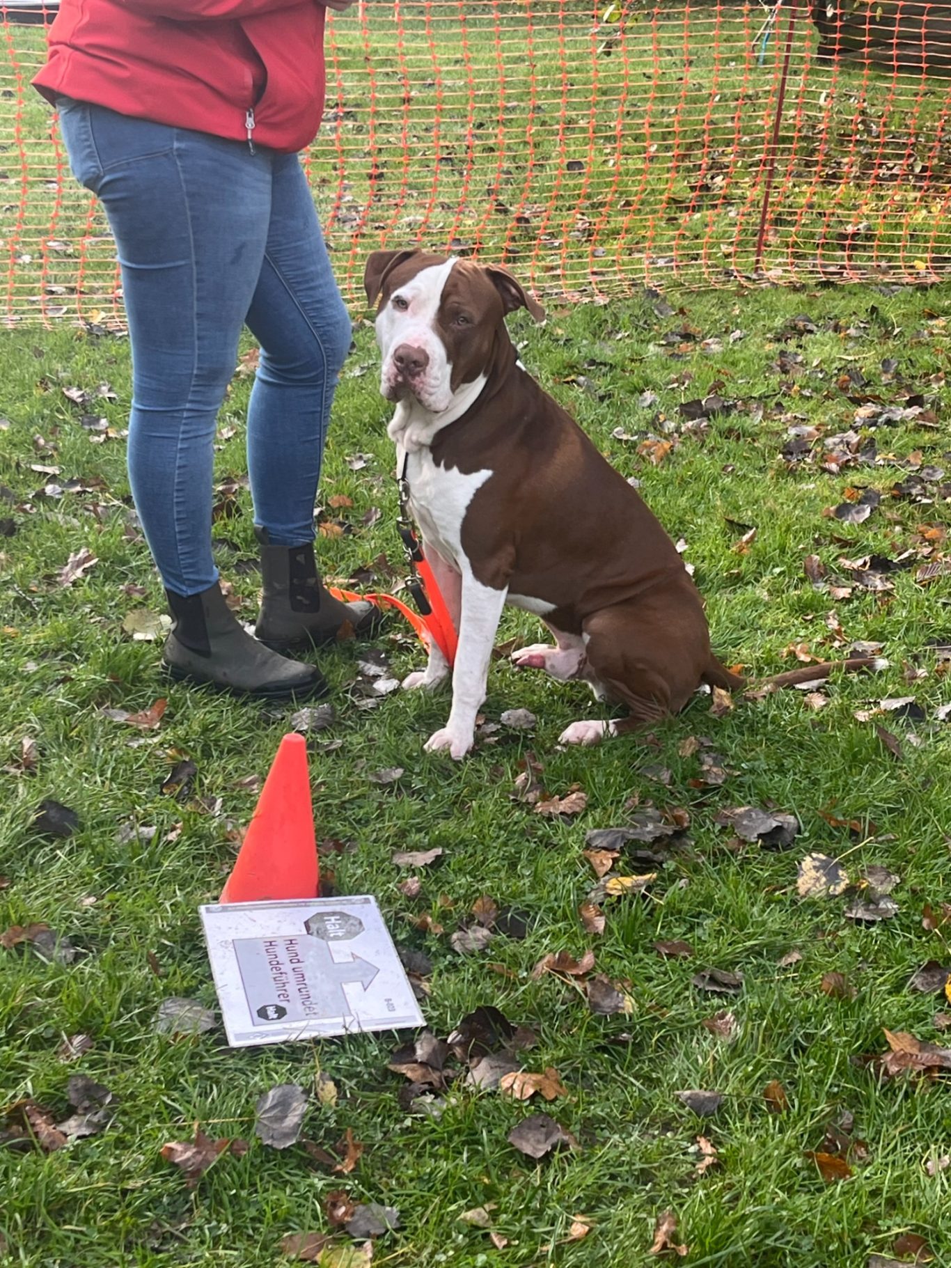 Aufgabentraining Hiltrup