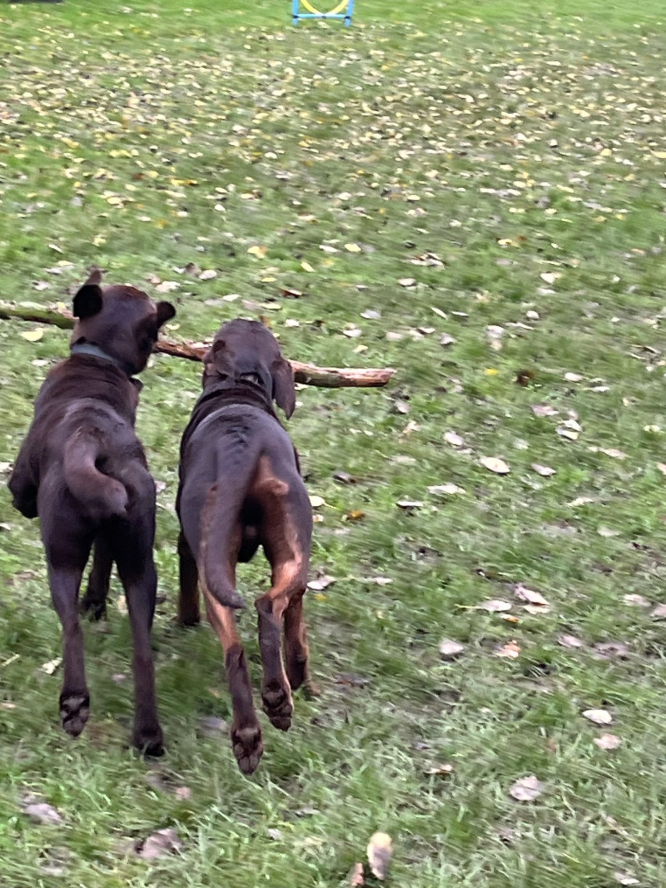 Spielzeit in Hiltrup