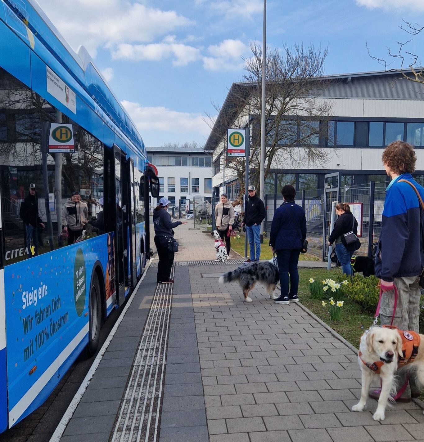 Bustraining hier: Zusammen mit Kompassdog