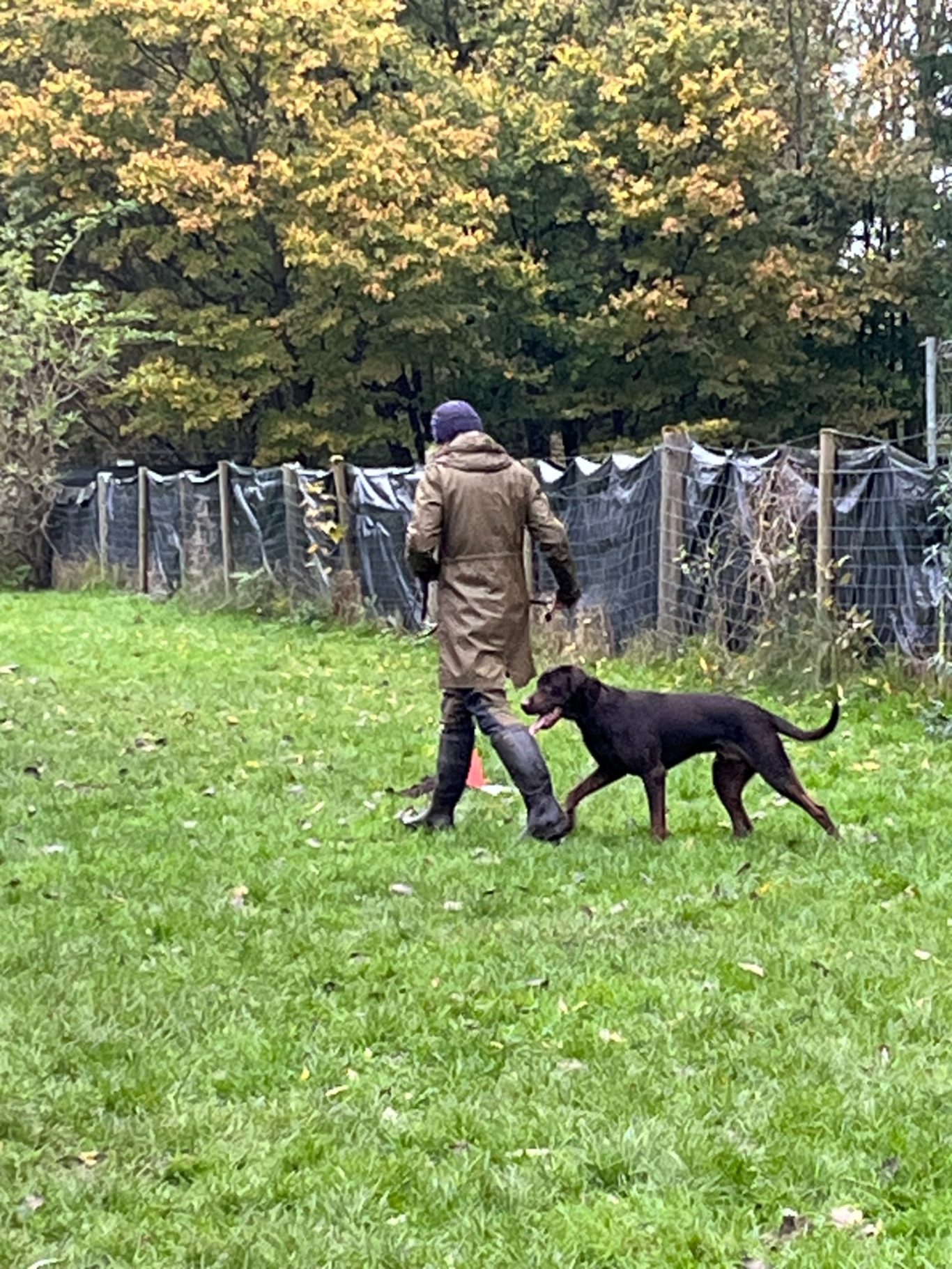 Aufgabentraining Hiltrup