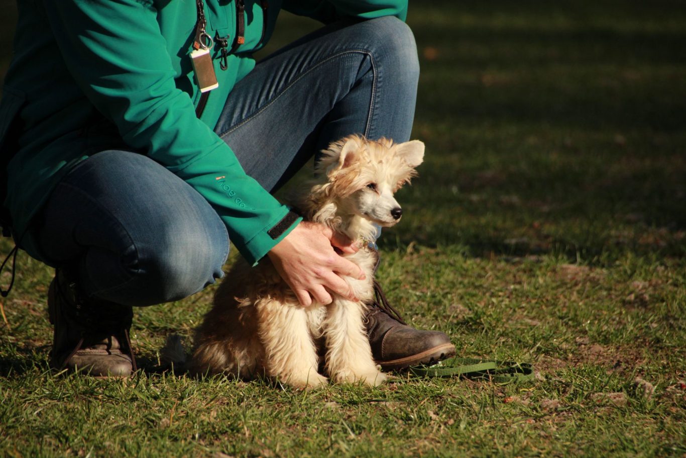 Welpenstunde Hiltrup