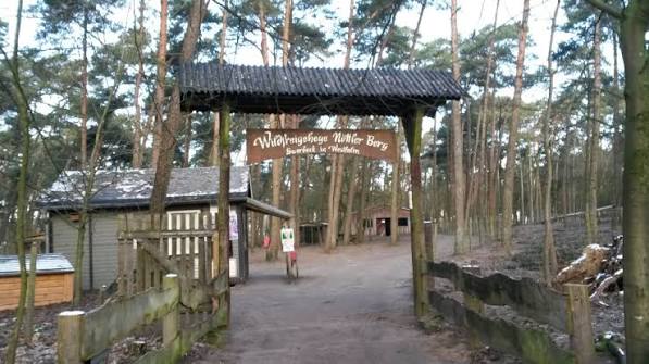 Wildfreigehege Nöttler Berg