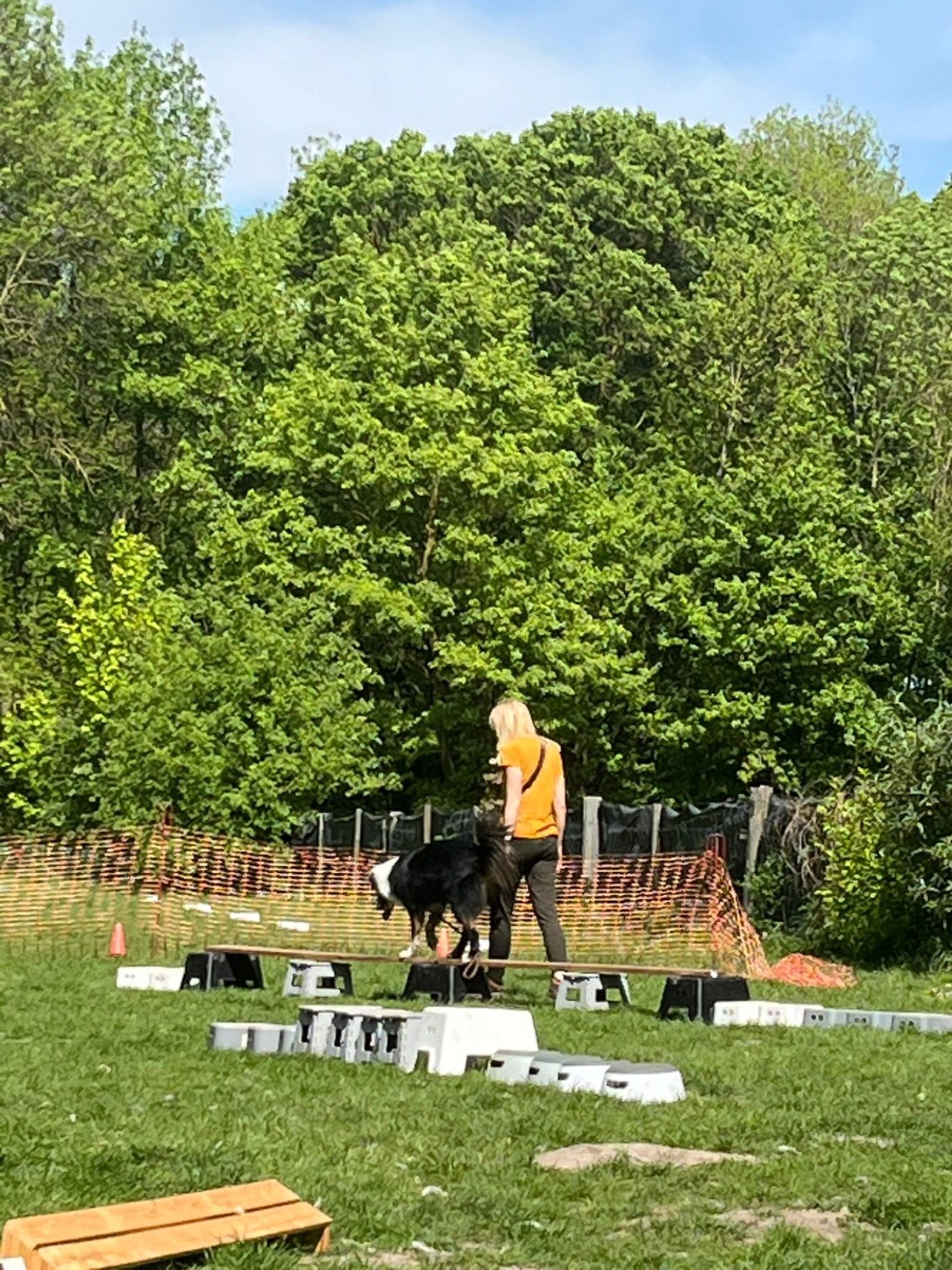 Hunde-Fun-Sport