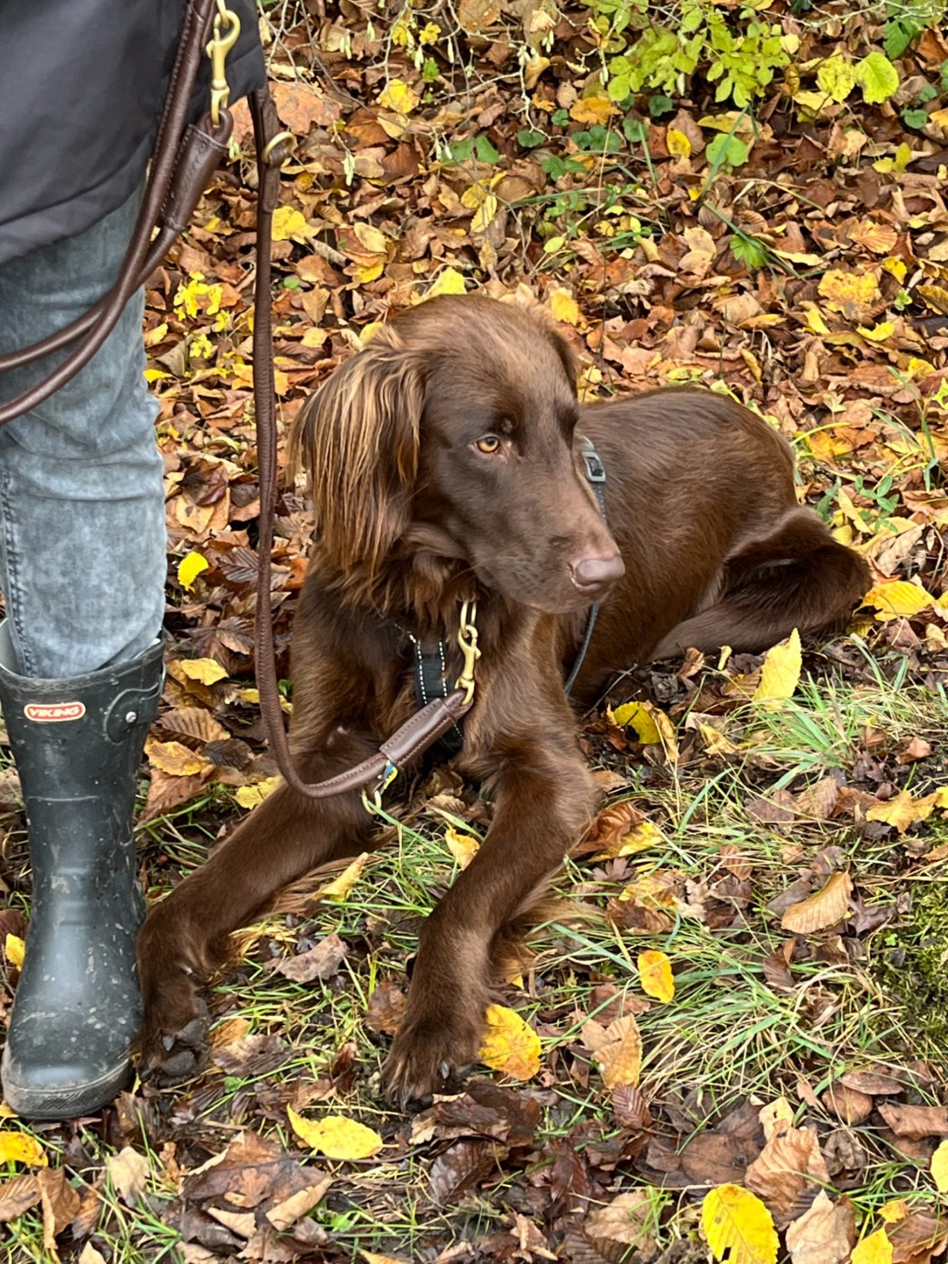 freies Training am Kanal in Hiltrup
