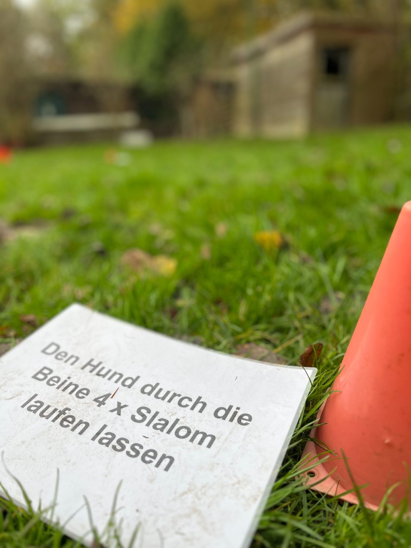 Aufgabentraining Hiltrup