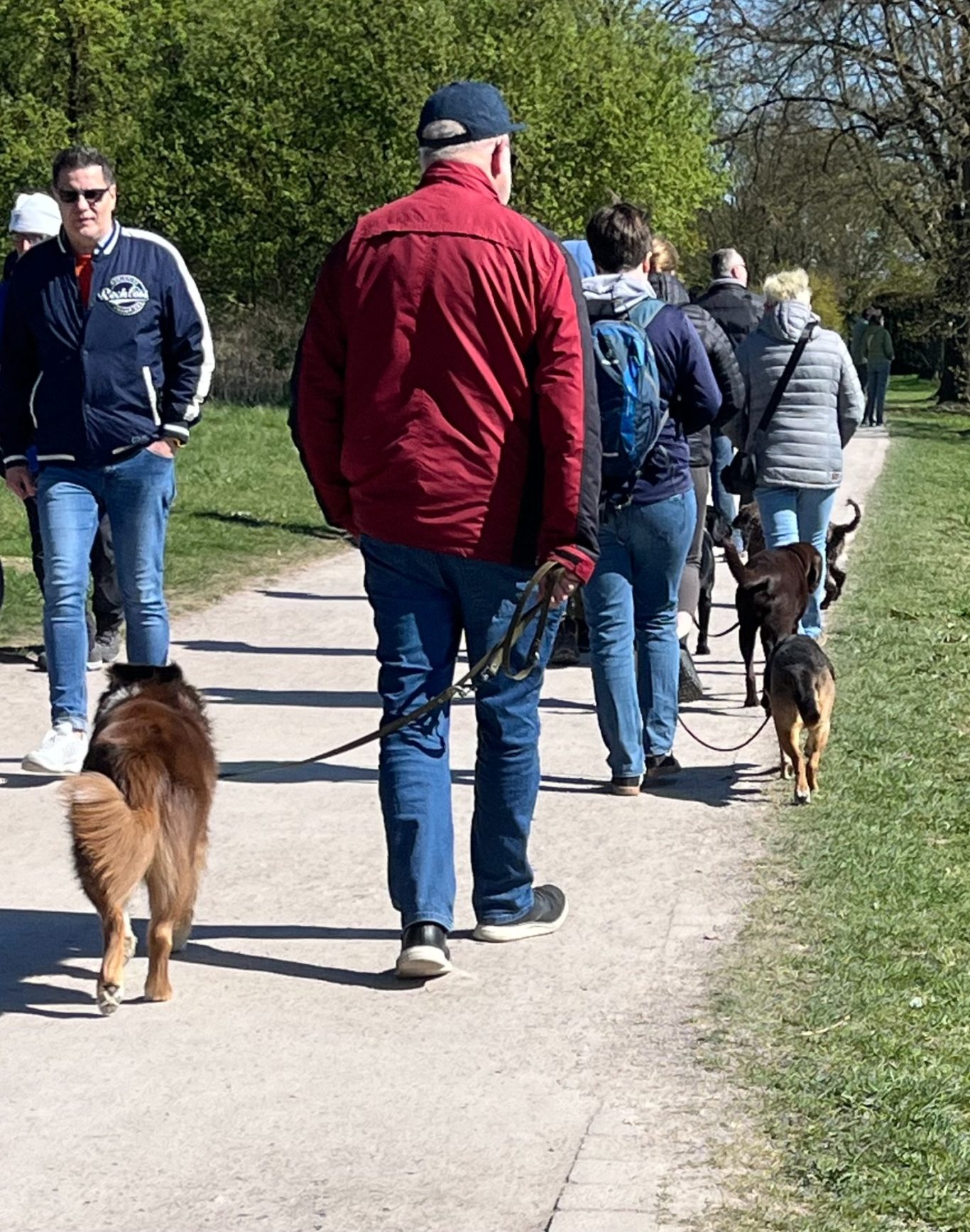 Leinenführikgeitskurs