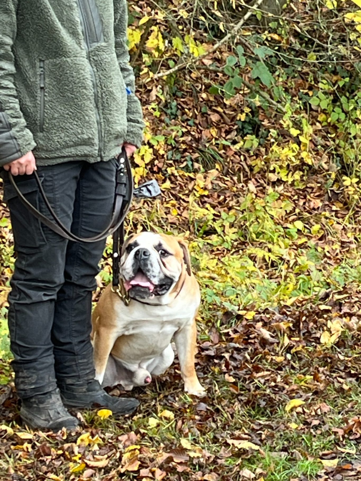 freies Training am Kanal in Hiltrup