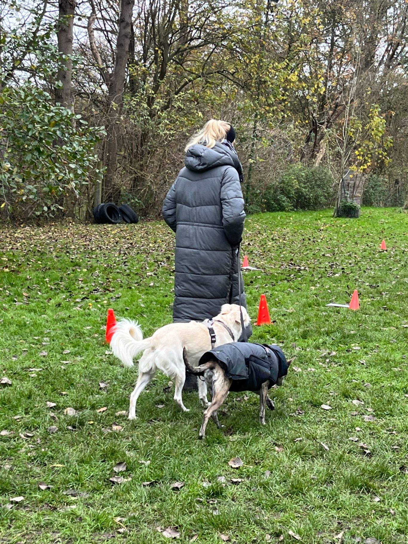 Aufgabentraining Hiltrup